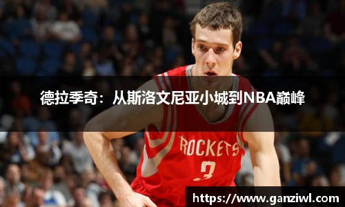 德拉季奇：从斯洛文尼亚小城到NBA巅峰
